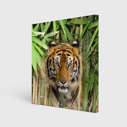 Холст квадратный Матёрый тигр в зарослях бамбука, цвет: 3D-принт