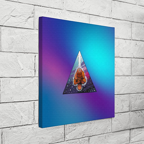 Картина квадратная Утконосий Дзен 3D / 3D-принт – фото 3