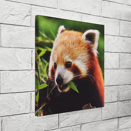 Картина квадратная Красная милая панда / 3D-принт – фото 3