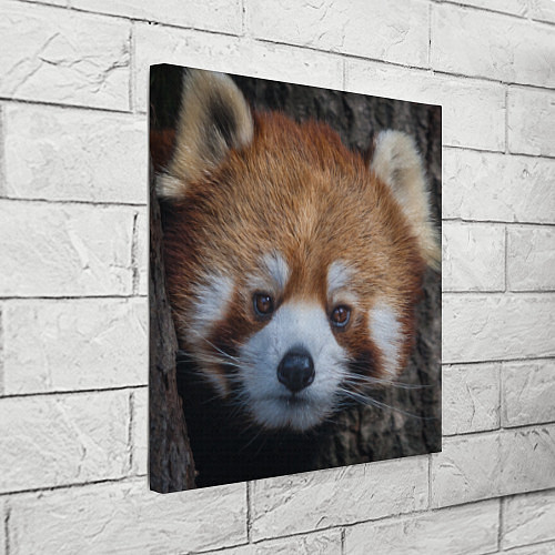 Картина квадратная Крaсная панда / 3D-принт – фото 3