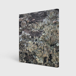 Холст квадратный Текстура мха на дереве, цвет: 3D-принт