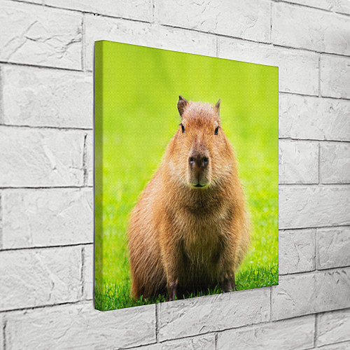 Картина квадратная Capybara on green grass / 3D-принт – фото 3