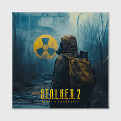 Холст квадратный Stalker 2 зараженная зона, цвет: 3D-принт — фото 2