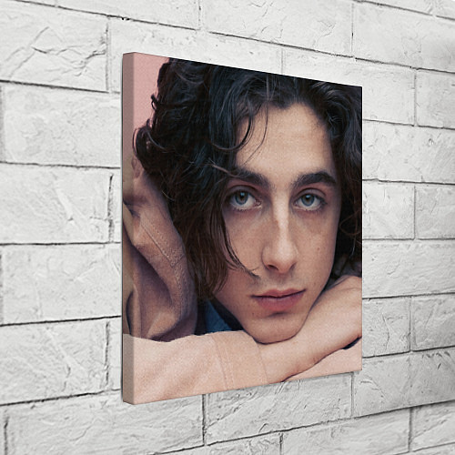 Картина квадратная Timothe Chalamet on a pink background / 3D-принт – фото 3