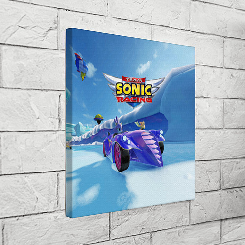 Картина квадратная Blaze the cat - team Sonic racing / 3D-принт – фото 3