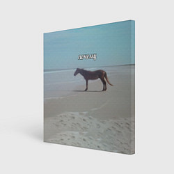Холст квадратный Лошадь почему мем на берегу, цвет: 3D-принт