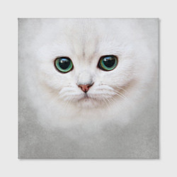 Холст квадратный Белый котик, цвет: 3D-принт — фото 2