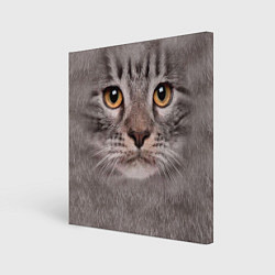 Холст квадратный Котик, цвет: 3D-принт