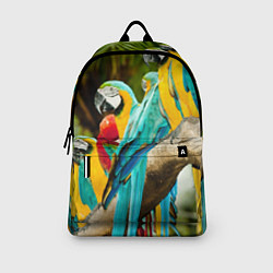 Рюкзак Попугаи на ветке, цвет: 3D-принт — фото 2