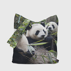 Сумка-шопер Семейка панд, цвет: 3D-принт