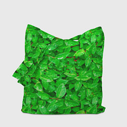 Сумка-шопер Зелёные листья - текстура, цвет: 3D-принт