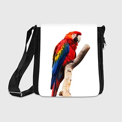 Сумка на плечо Яркий попугай, цвет: 3D-принт