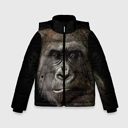Зимняя куртка для мальчика Глаза гориллы