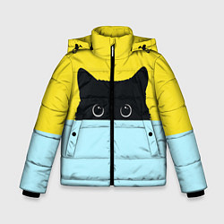 Куртка зимняя для мальчика Черный кот выглядывает, цвет: 3D-светло-серый