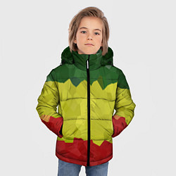 Куртка зимняя для мальчика Эфиопия, цвет: 3D-черный — фото 2