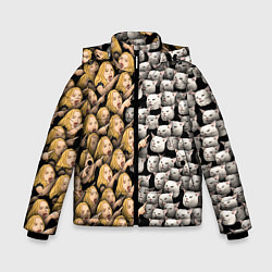 Куртка зимняя для мальчика Девушки орут на котиков, цвет: 3D-светло-серый