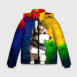 Куртка зимняя для мальчика Корги, цвет: 3D-черный
