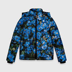 Зимняя куртка для мальчика Поле синих цветов фиалки лето