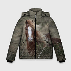 Куртка зимняя для мальчика Конь, цвет: 3D-черный