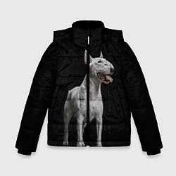 Куртка зимняя для мальчика Bully, цвет: 3D-черный