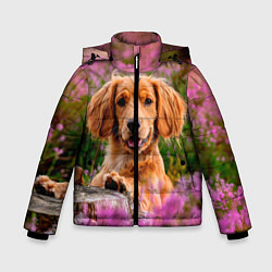 Куртка зимняя для мальчика Dog, цвет: 3D-красный