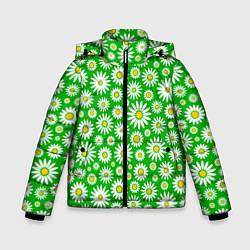 Зимняя куртка для мальчика Ромашки на зелёном фоне