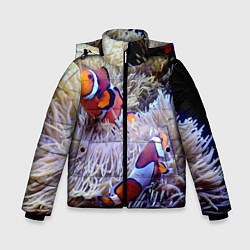 Зимняя куртка для мальчика Клоуны в актинии