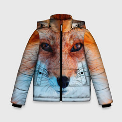 Зимняя куртка для мальчика Мордочка лисы