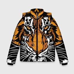 Зимняя куртка для мальчика Взгляд хозяина джунглей