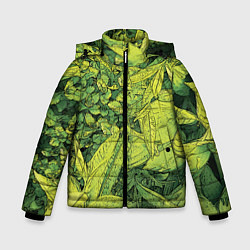 Куртка зимняя для мальчика Растительная жизнь - Хоста, цвет: 3D-черный
