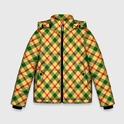 Зимняя куртка для мальчика Желто-зеленая Клетка