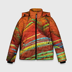 Куртка зимняя для мальчика Знаменитые разноцветные горы Китай, цвет: 3D-светло-серый