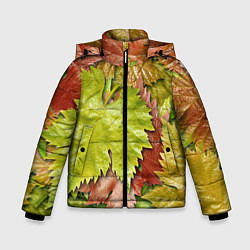 Куртка зимняя для мальчика Осенние листья клёна - паттерн, цвет: 3D-черный