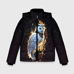 Куртка зимняя для мальчика Снежная сова, цвет: 3D-светло-серый