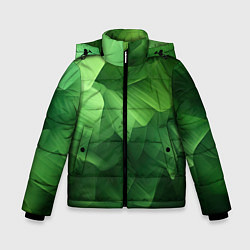 Зимняя куртка для мальчика Green lighting background