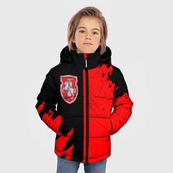 Куртка зимняя для мальчика Белоруссия краски текстура, цвет: 3D-черный — фото 2