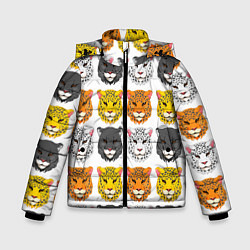 Зимняя куртка для мальчика Дикие цветные кошки