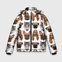 Зимняя куртка для мальчика Текстура собак