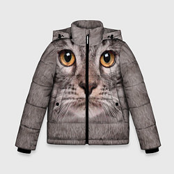 Куртка зимняя для мальчика Котик, цвет: 3D-черный