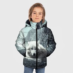 Куртка зимняя для мальчика Волк в горах, цвет: 3D-черный — фото 2