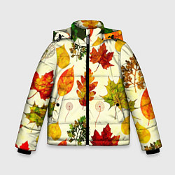 Куртка зимняя для мальчика Осень, цвет: 3D-светло-серый