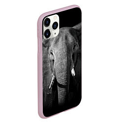 Чехол iPhone 11 Pro матовый Взгляд слона, цвет: 3D-розовый — фото 2