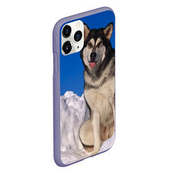 Чехол iPhone 11 Pro матовый Аляскинский маламут, цвет: 3D-серый — фото 2