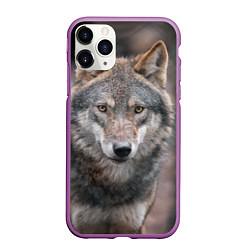 Чехол iPhone 11 Pro матовый Волк - санитар леса, цвет: 3D-фиолетовый