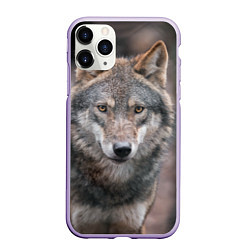 Чехол iPhone 11 Pro матовый Волк - санитар леса, цвет: 3D-светло-сиреневый