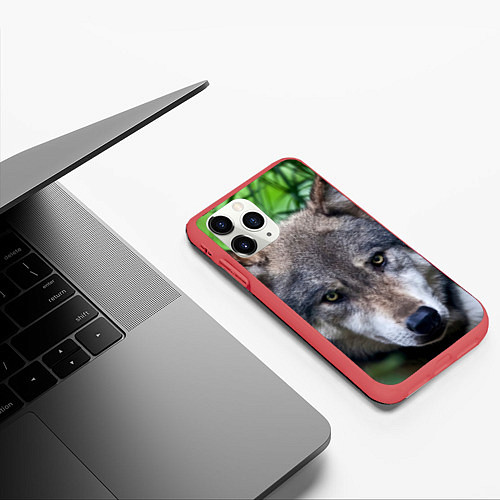 Чехол iPhone 11 Pro матовый Дикий хищник / 3D-Красный – фото 3