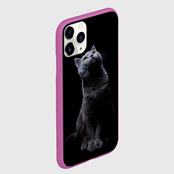 Чехол iPhone 11 Pro матовый Кот Британец, цвет: 3D-фиолетовый — фото 2