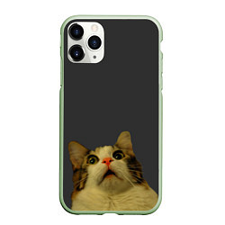 Чехол iPhone 11 Pro матовый Коте смотрит вверх, цвет: 3D-салатовый