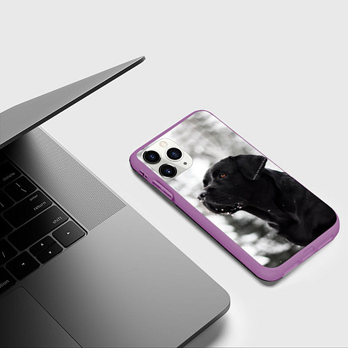 Чехол iPhone 11 Pro матовый Лабрадор Марк / 3D-Фиолетовый – фото 3