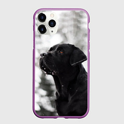 Чехол iPhone 11 Pro матовый Лабрадор Марк, цвет: 3D-фиолетовый